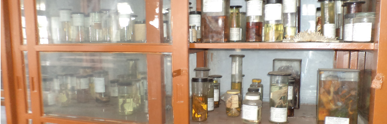 Department of Zoology